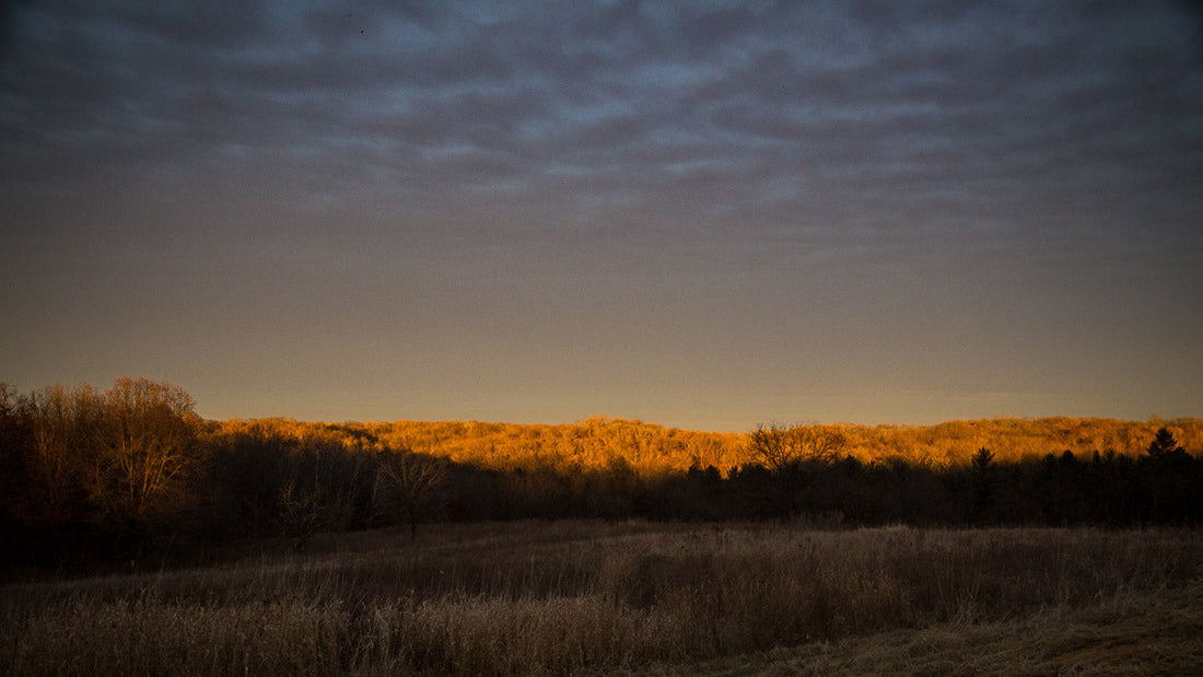 Thanks for joining us!